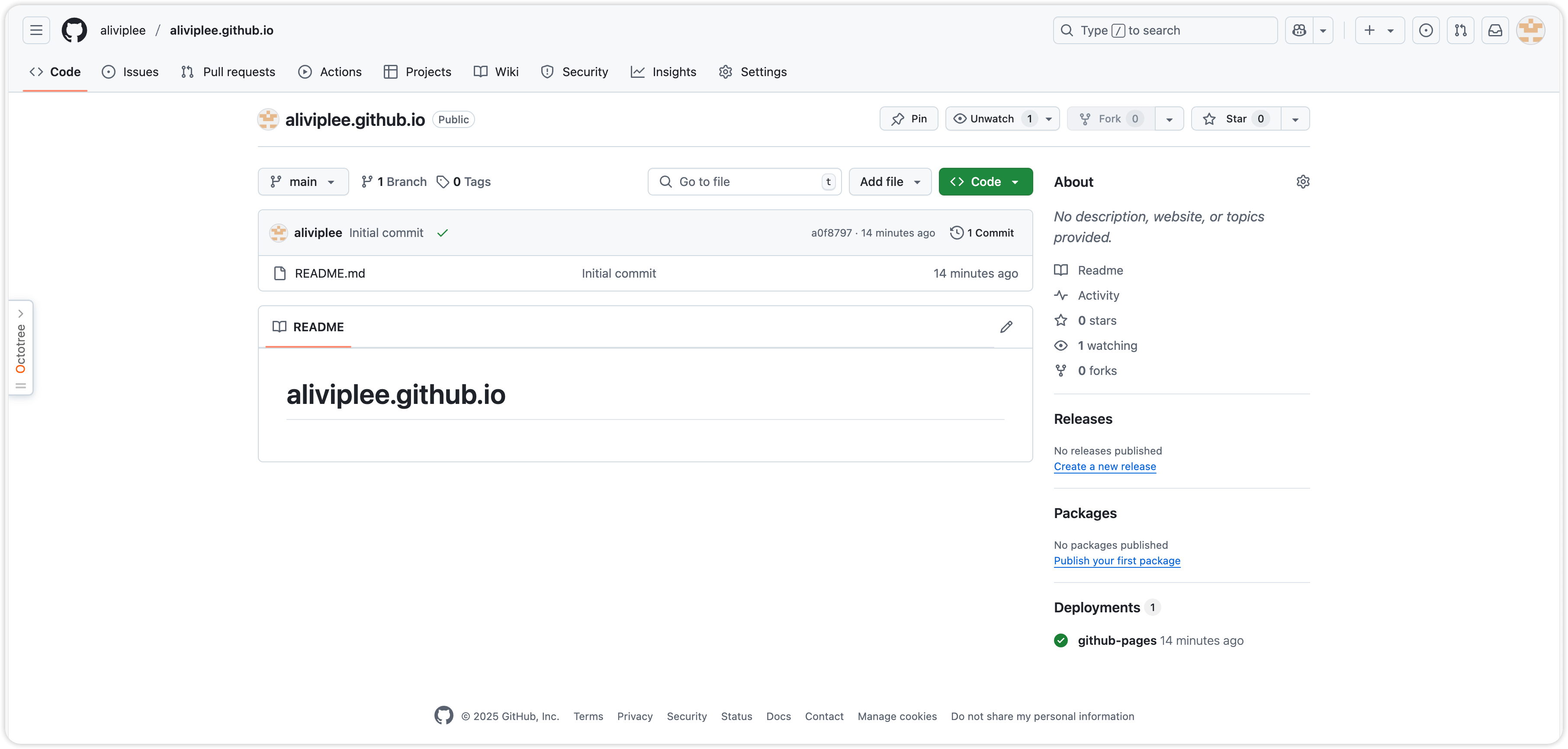 2025/04/06/github-pages-05.png